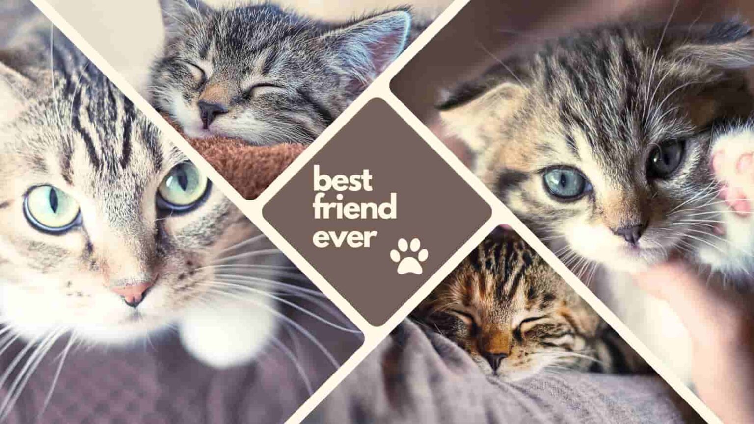 Zdjęcie w tle na Facebooka – 10 pomysłów - I Love Content